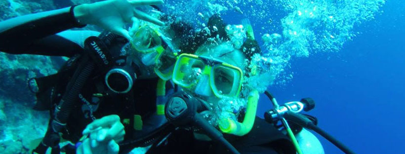 Padi Open Water Diver Manual Pdf Download